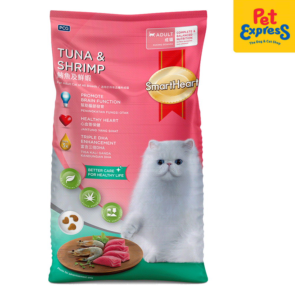 Pet food express cat clearance food