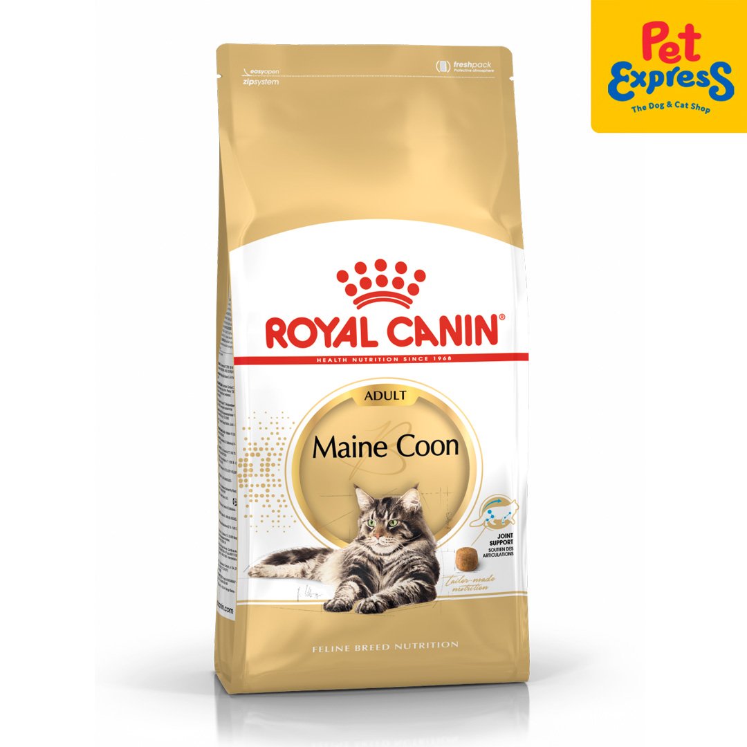 Royal canin maine coon best sale wet food