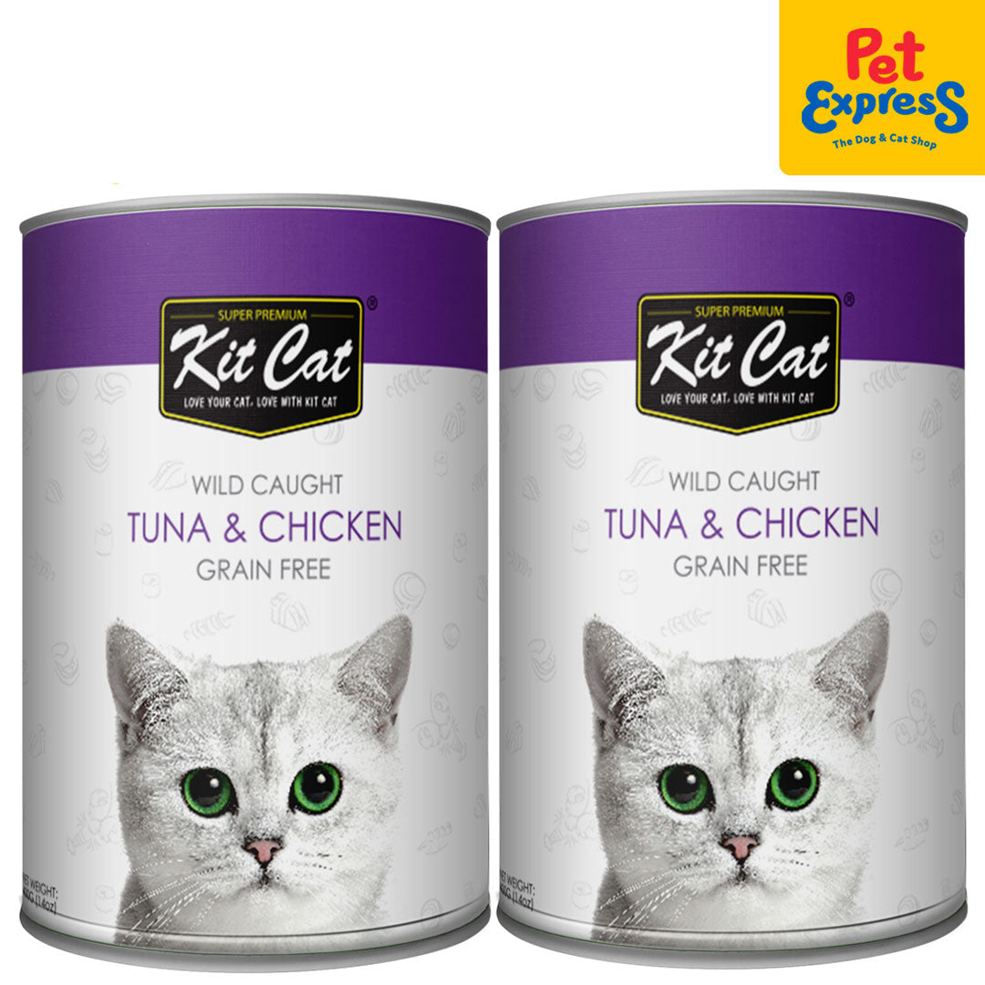 Kitcat wet clearance food