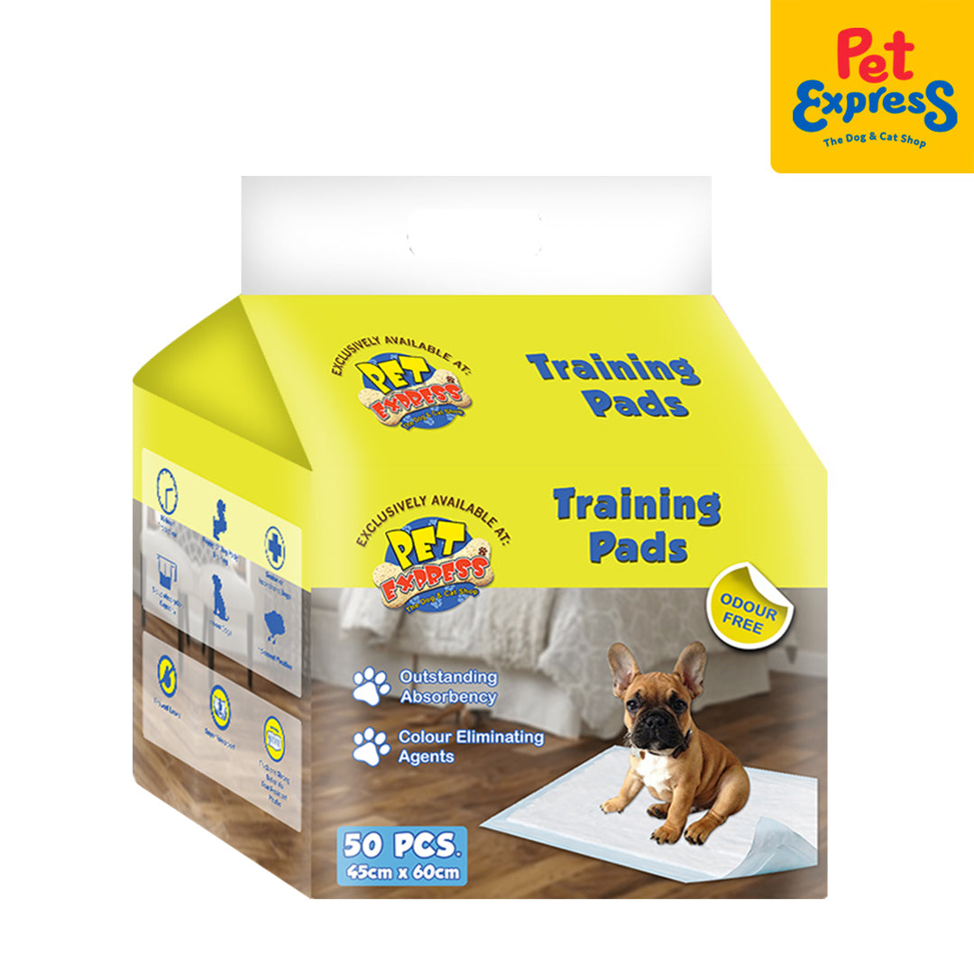 Animal training outlet pads