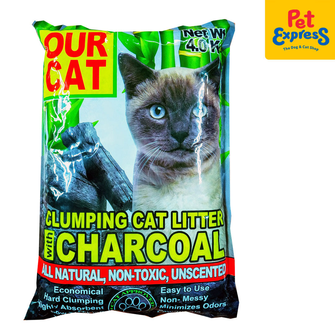 Non toxic non shop clumping cat litter