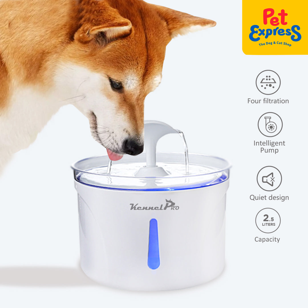 Electric dog shop water fountain