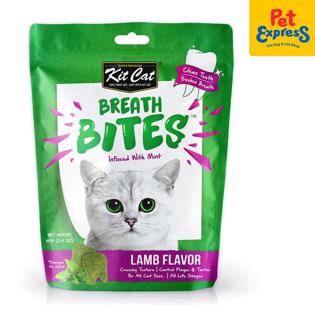 Cat halitosis outlet treatment