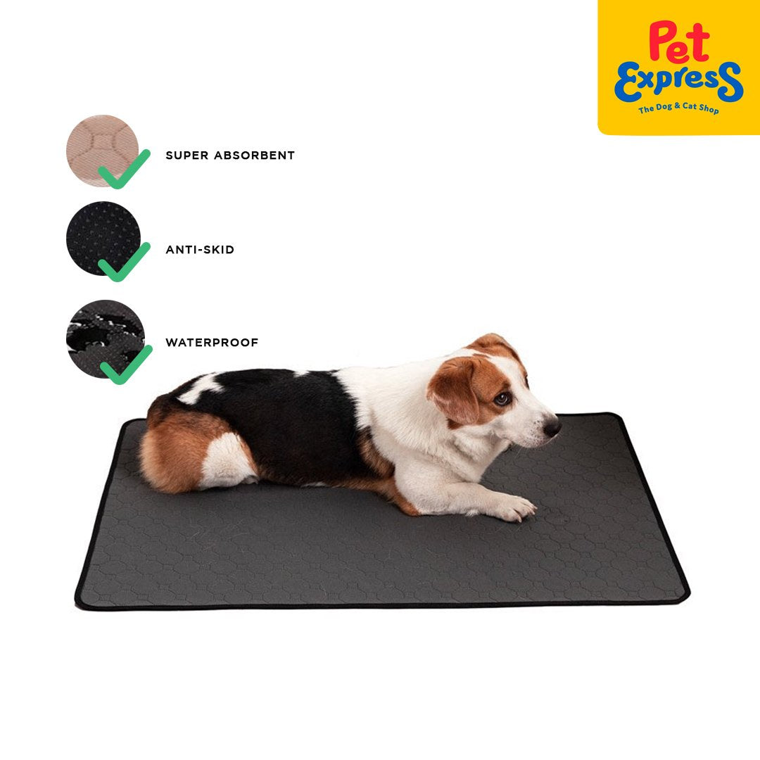 Pet express outlet dog beds