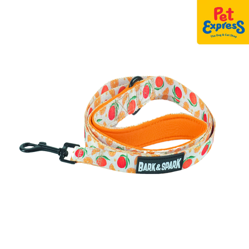 Bark and Spark Dog Leash Medium Orange