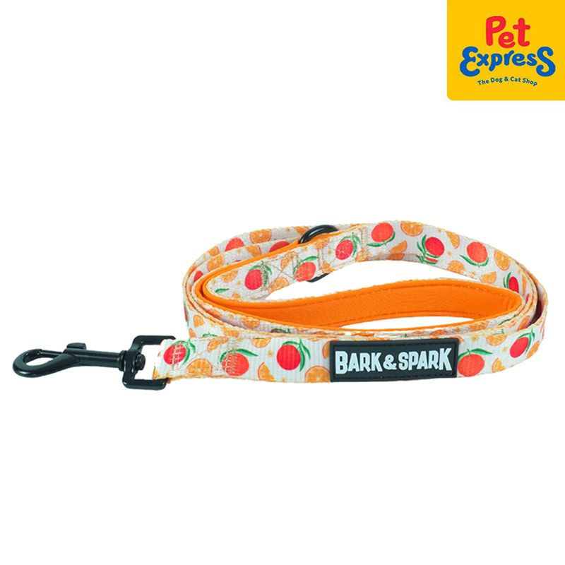 Bark and Spark Dog Leash Medium Orange