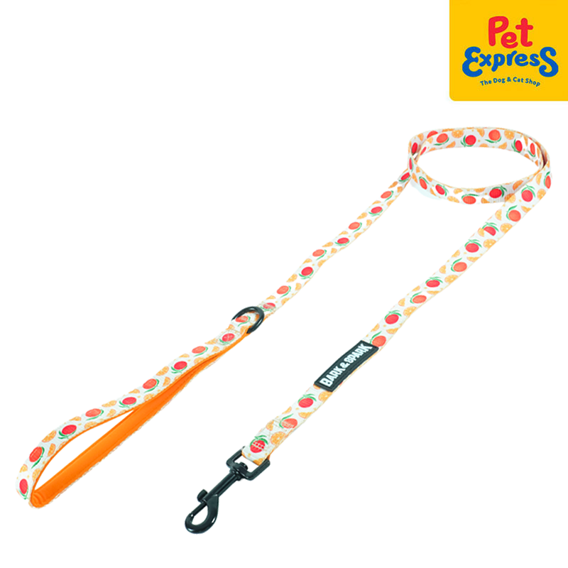 Bark and Spark Dog Leash Medium Orange