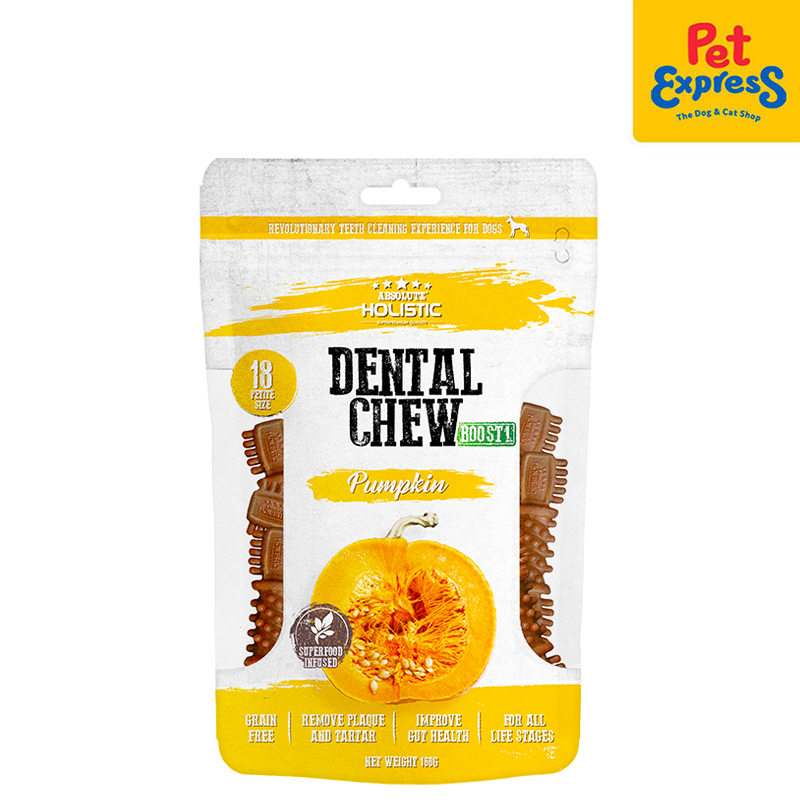 Absolute Holistic Dental Chew Pumpkin Dog Treats 160g