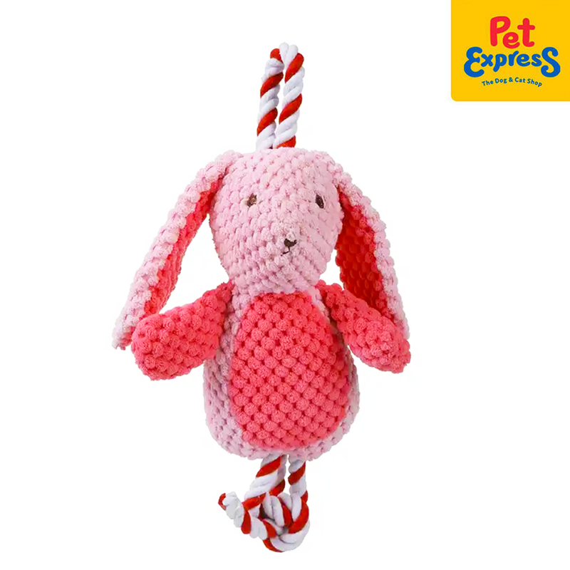 Approved Plush Pink Bunny with Rope Dog Toy