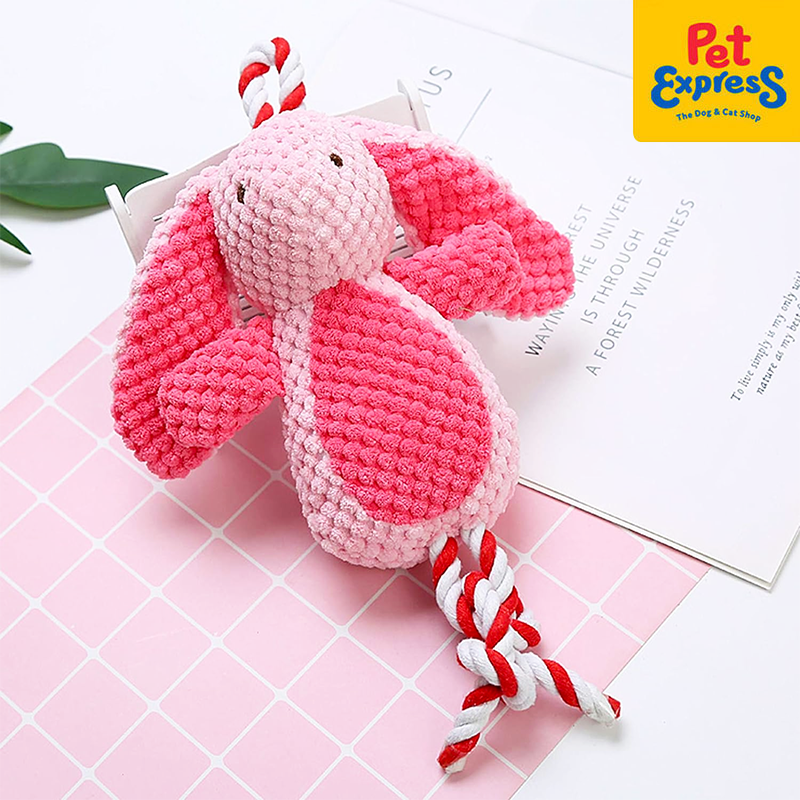 Approved Plush Pink Bunny with Rope Dog Toy