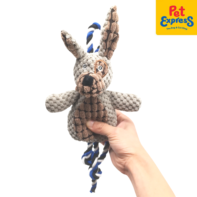 Approved Plush Brown Bunny with Rope Dog Toy