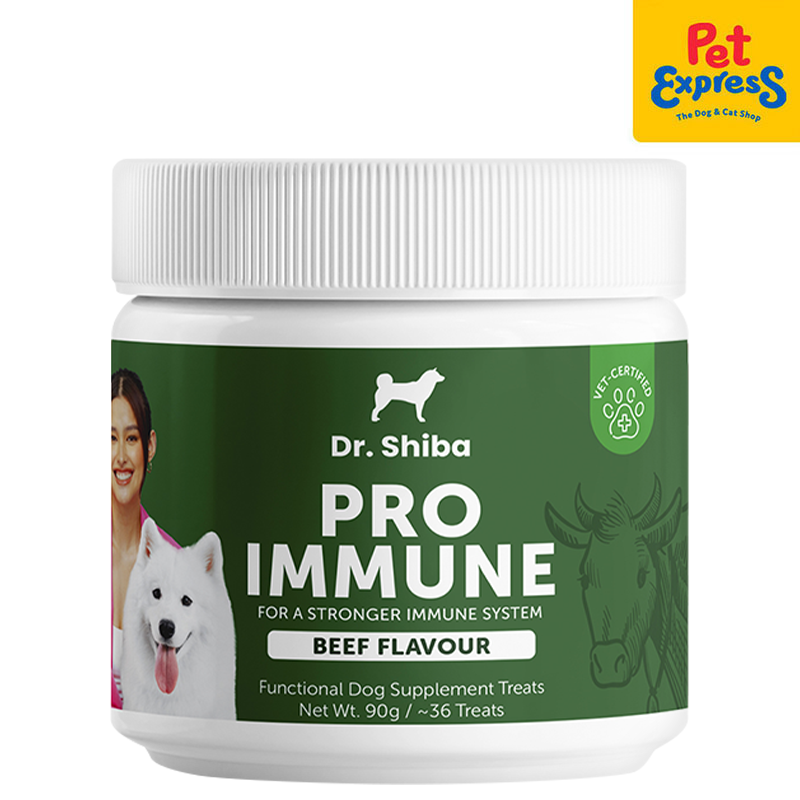 Dr. Shiba Pro Immune Beef Dog Treats 90g