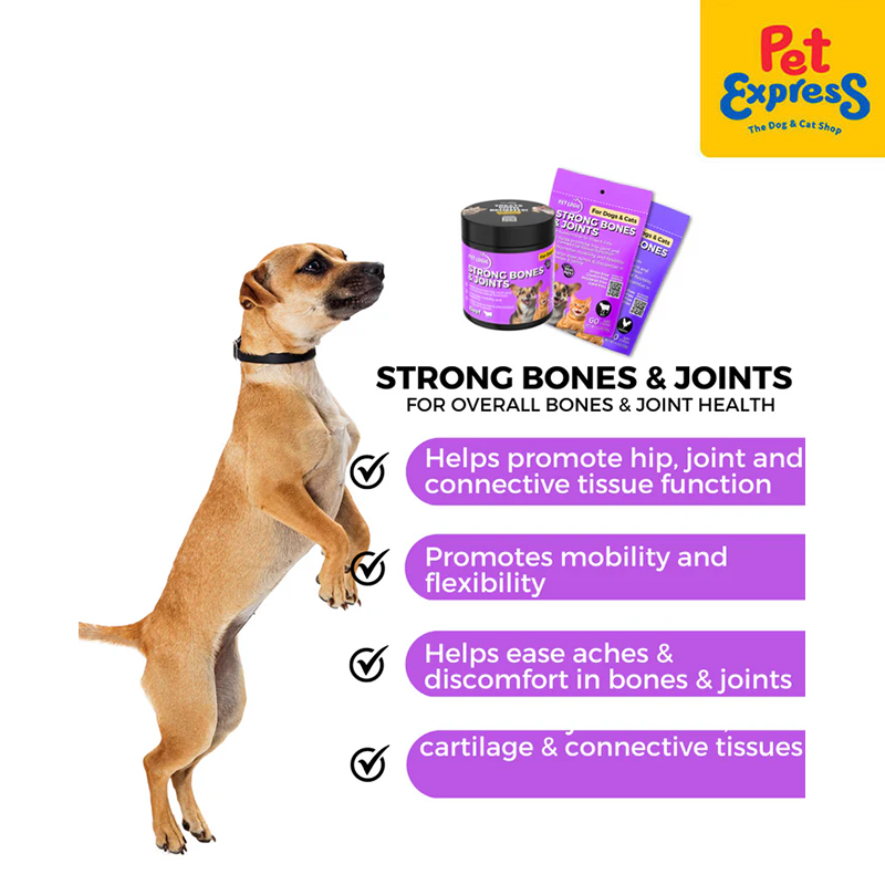 Pet Logic Strong Bones and Joints Beef Pet Supplement 120g