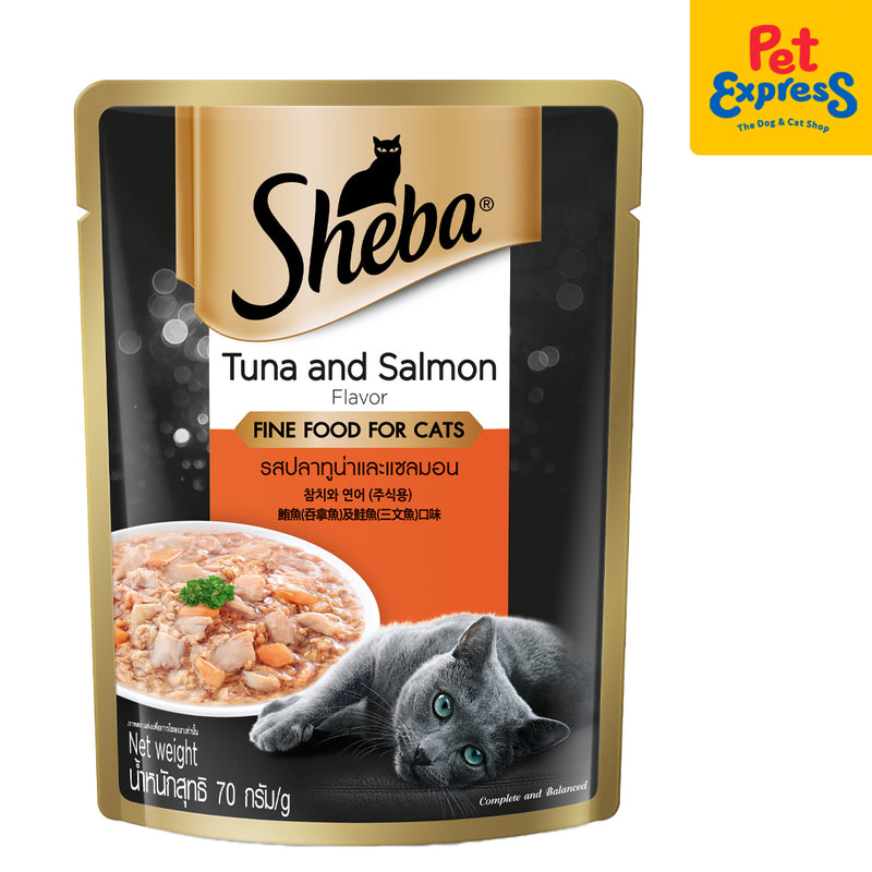 Whiskas Adult Chicken and Tuna Hairball Control Dry Cat Food 1.1kg with FREE Sheba 70g