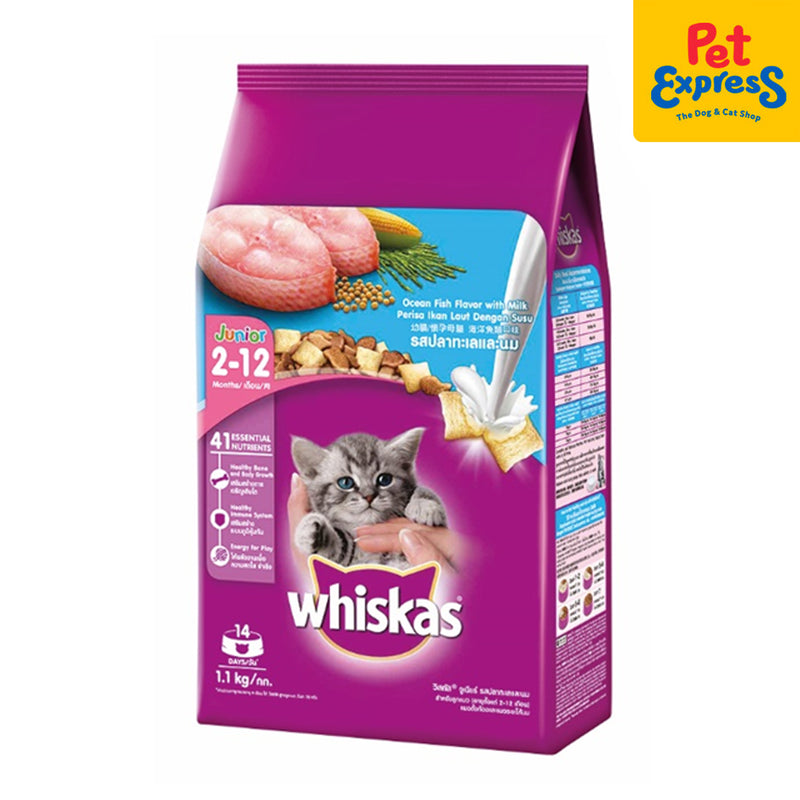 Whiskas Junior Ocean Fish with Milk Dry Cat Food 1.1kg with FREE Whiskas 80g