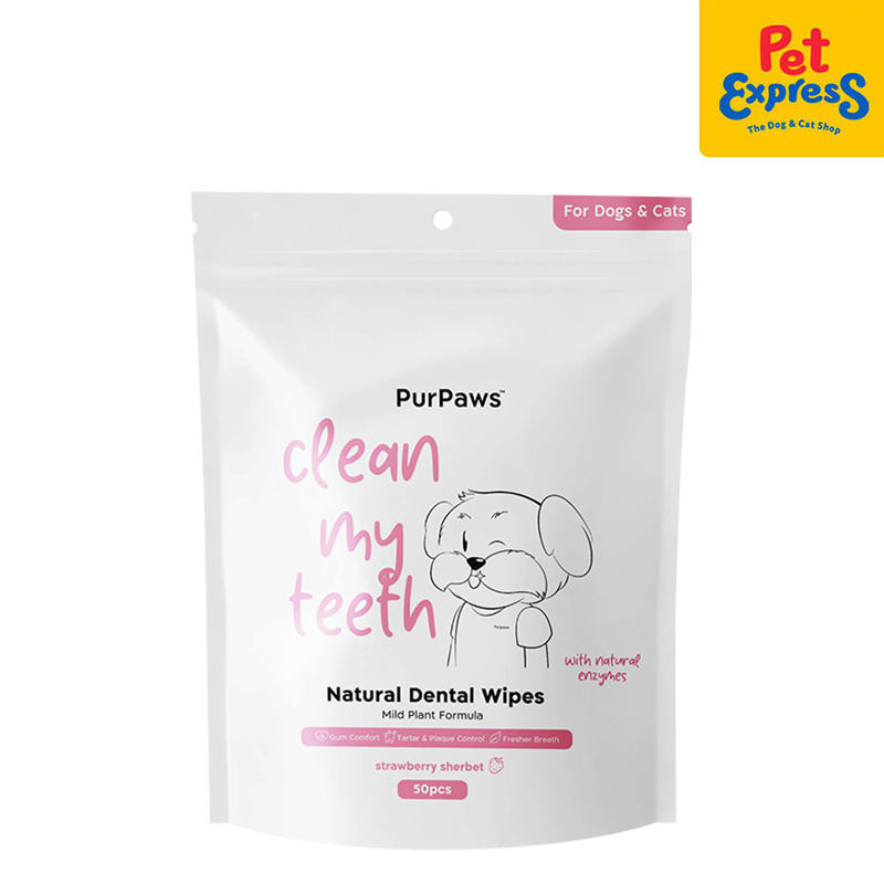 PurPaws Strawberry Sherbet Clean My Teeth Pet Wipes 50s