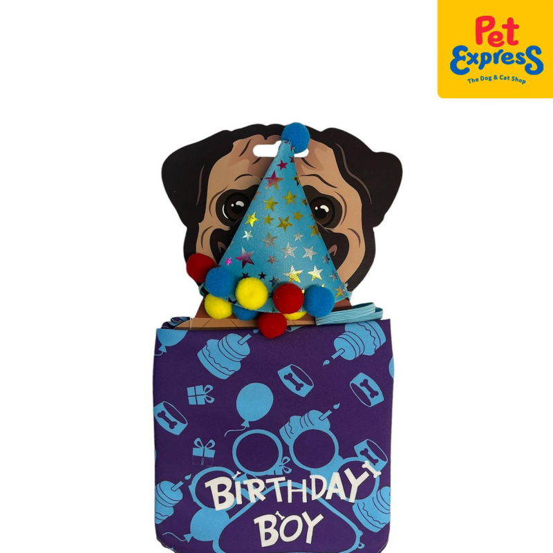 Pet Pals Birthday Bandana Boy Set Dog Costume Small Blue