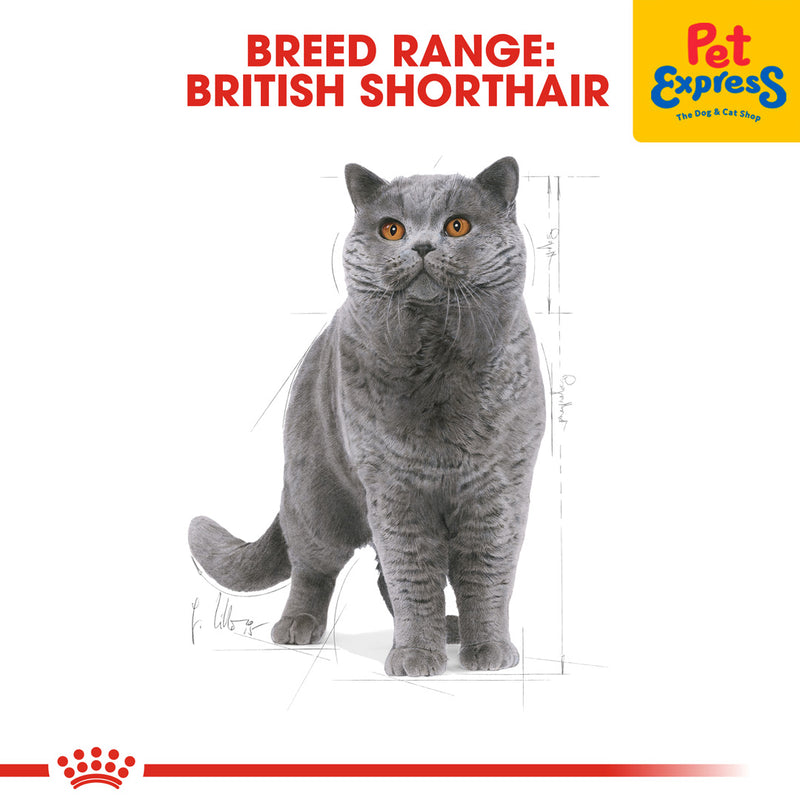 Royal Canin Feline Breed Nutrition Adult British Shorthair Dry Cat Food 2kg