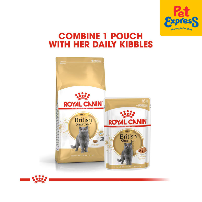 Royal canin best sale feline british shorthair