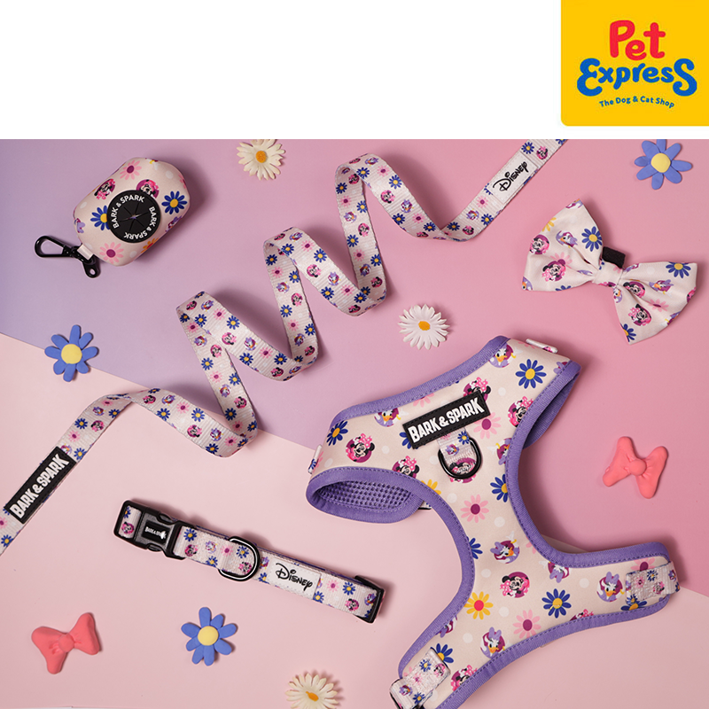 Bark and Spark Minnie and Daisy Dog Harness Small Floral