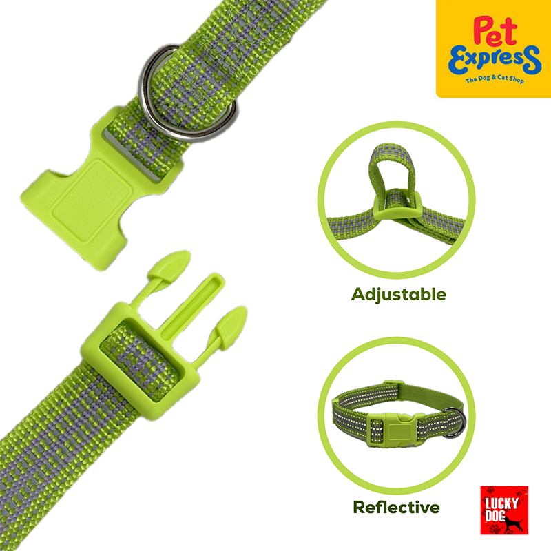 Lucky Dog Reflective 25m Dog Collar Large Lime Green