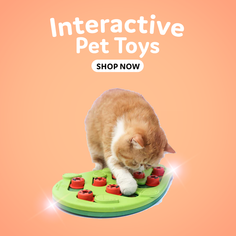 Petshoppe Cat Toy-Variety Pack