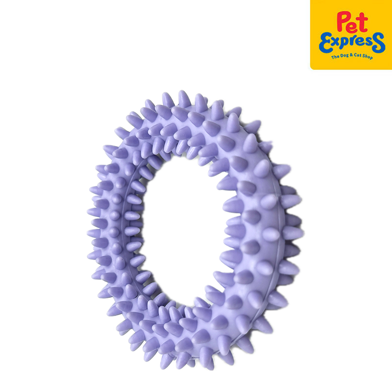 Lucky Dog Spiky Ring Dog Toy Purple