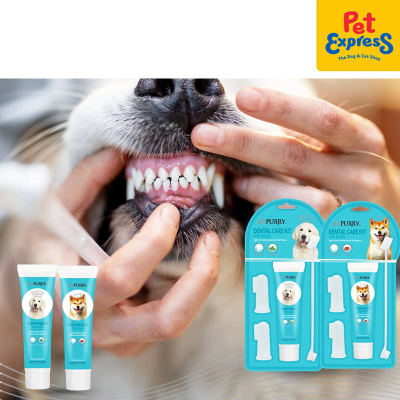 Purry Beef Toothpaste for Dogs 90g