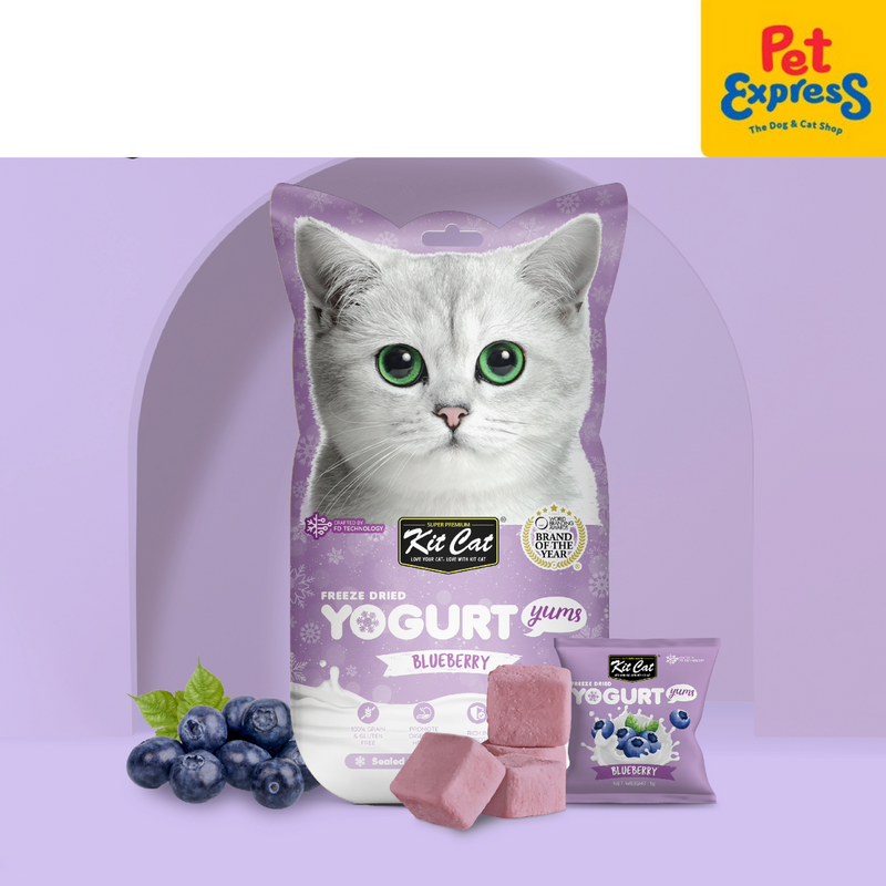 Kit Cat Freeze Dried Yogurt Blueberry Cat Treats 10g