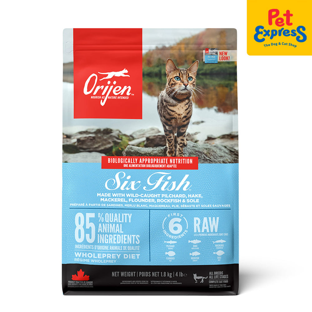 Fish diet for cats best sale