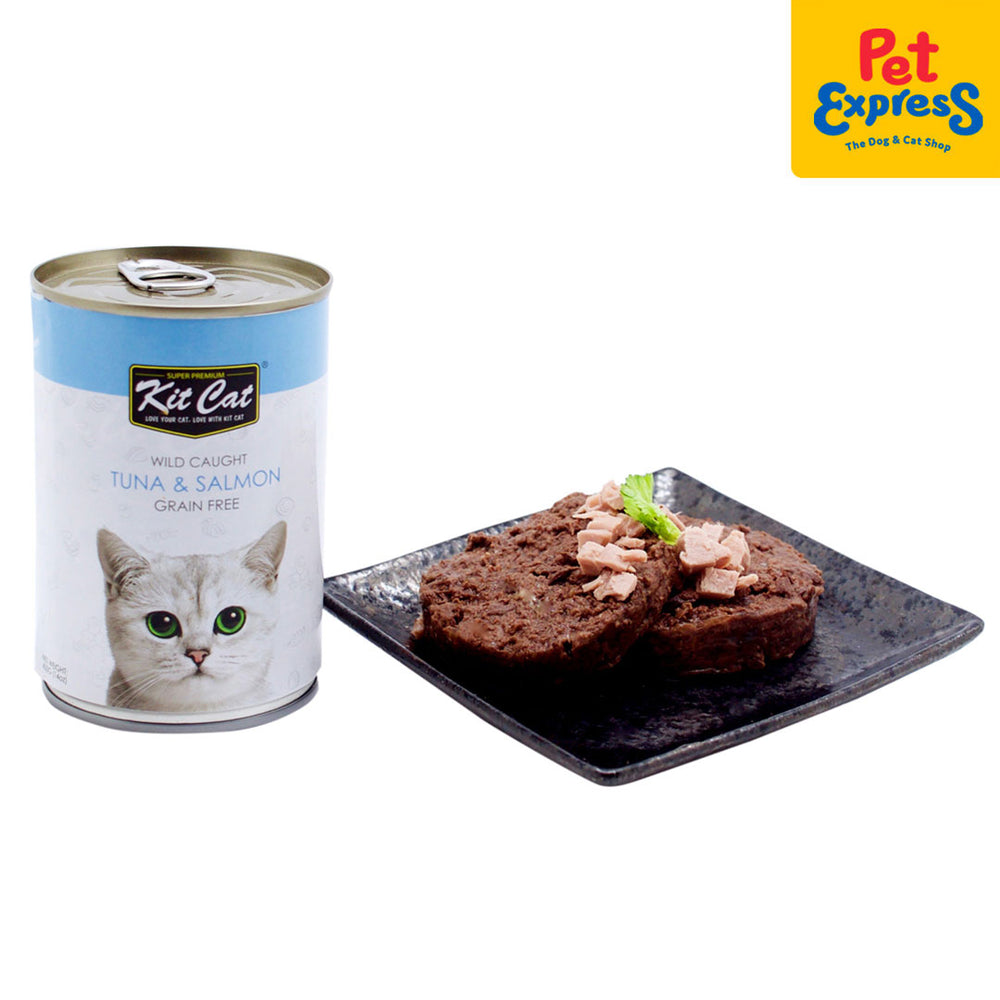 Canned salmon for cats best sale