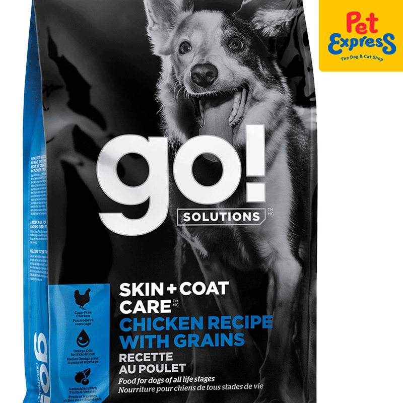 Go 2025 dog food