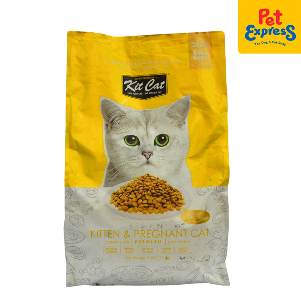 Cat food outlet for pregnant cats