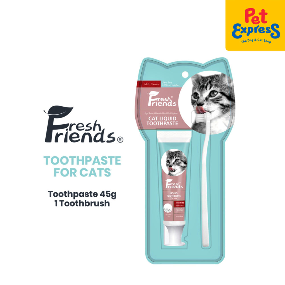 Kitten toothbrush and shops toothpaste