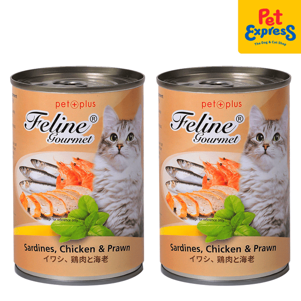 Canned food for kittens best sale