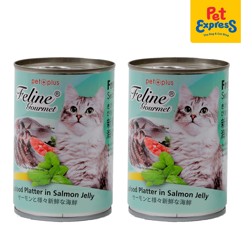 Gourmet cat food in jelly best sale