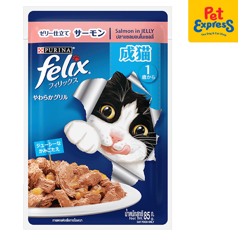 Purina Felix Adult Salmon in Jelly Wet Cat Food 85g (12 pouches)