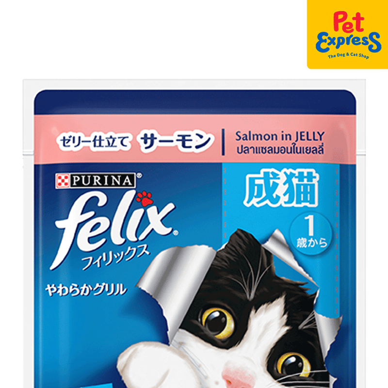 Purina Felix Adult Salmon in Jelly Wet Cat Food 85g (12 pouches)