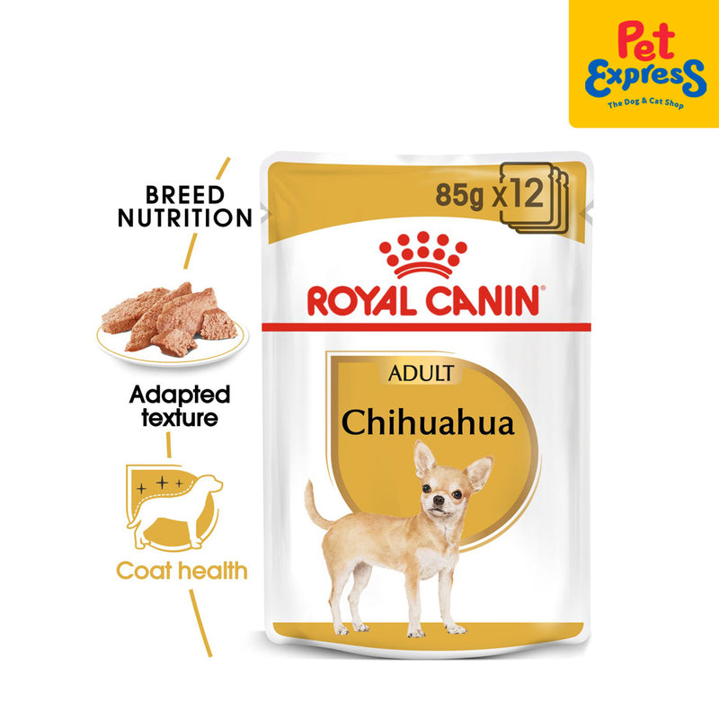 Chihuahua dry outlet food