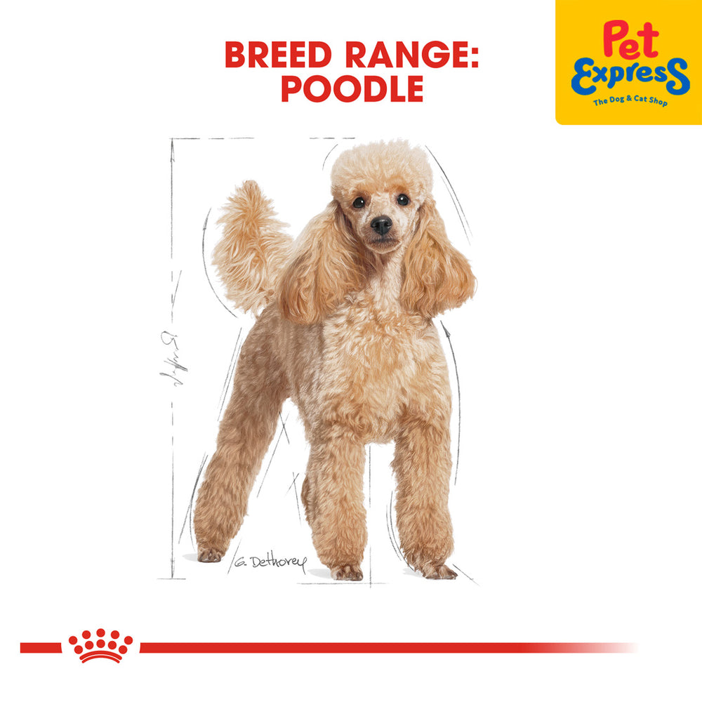 Best dry food for toy poodle best sale